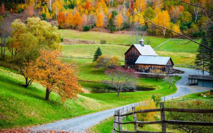 Probate Homestead - The Right of Occupancy by Hammerle Finley Law Firm Probate Homestead - The Right of Occupancy by Hammerle Finley Law Firm