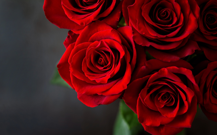 roses