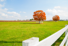 buying selling property