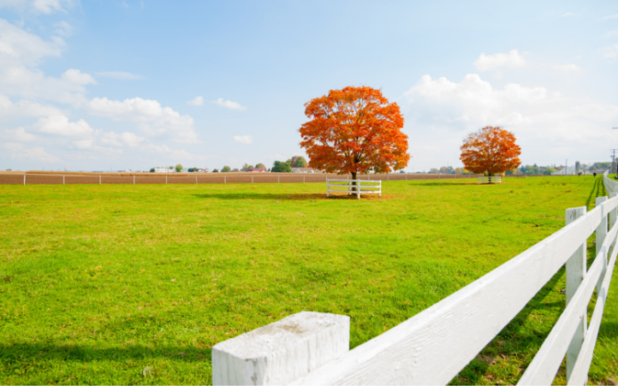 6.5 blog buying selling property