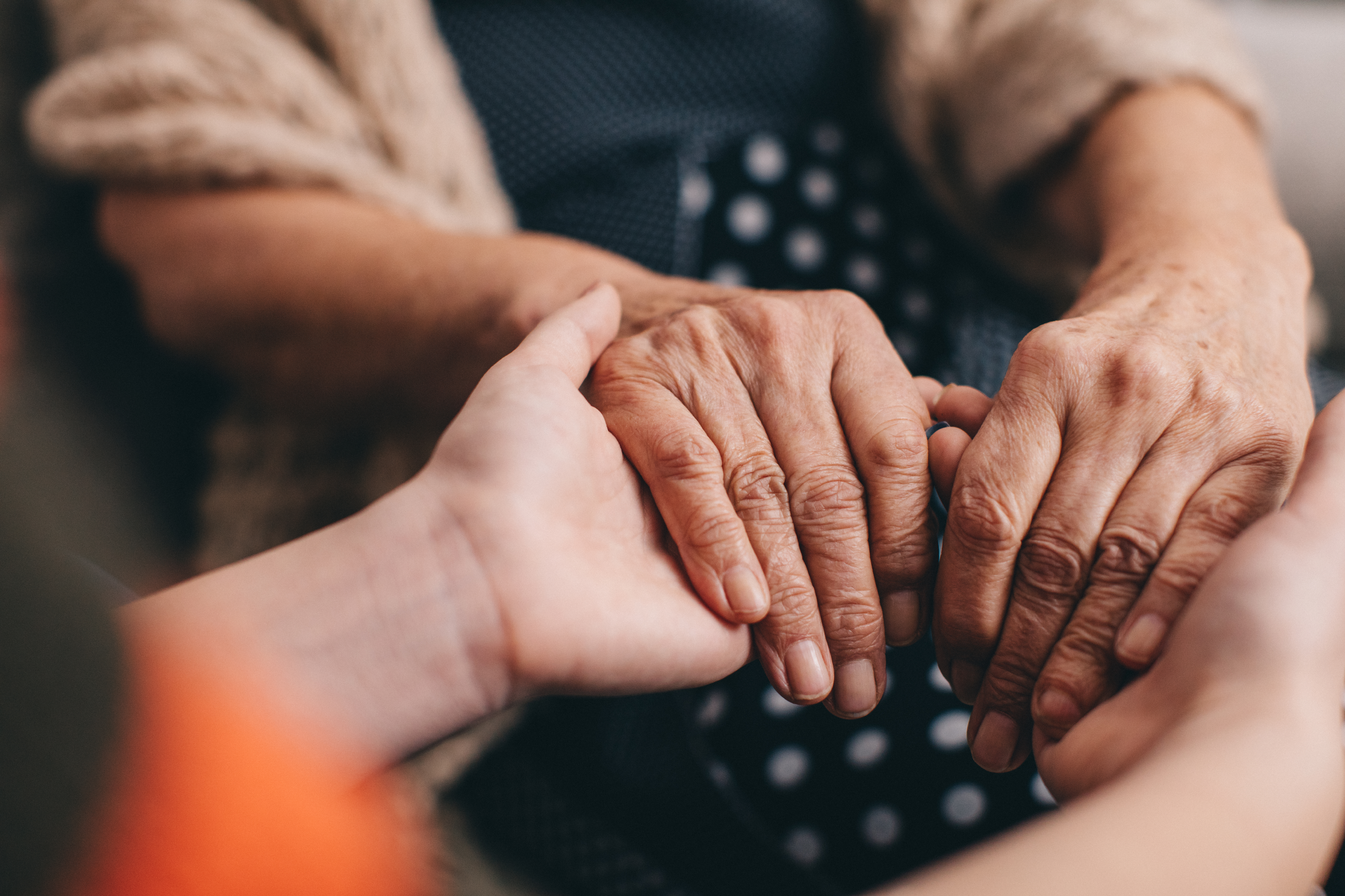 Close-up of an elderly person holding hands with their younger relative
